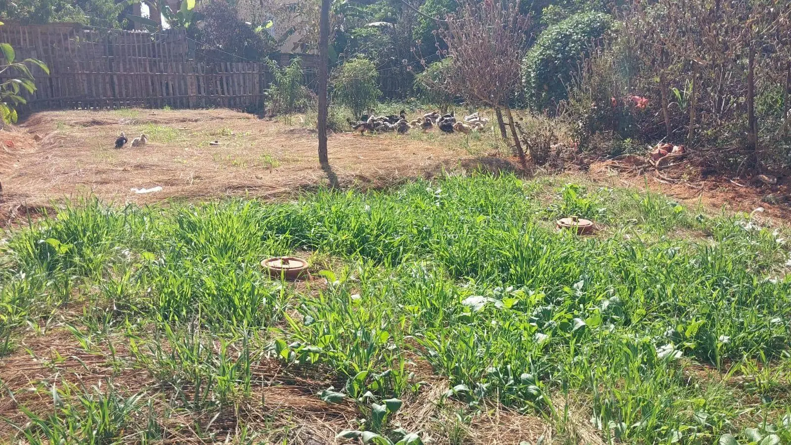 Ferme agroécologique Sahan'Aina dans les hautes terres de Madagascar